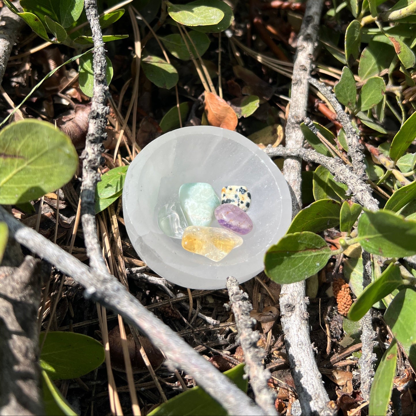 The Luminance Collection | A celebration of her