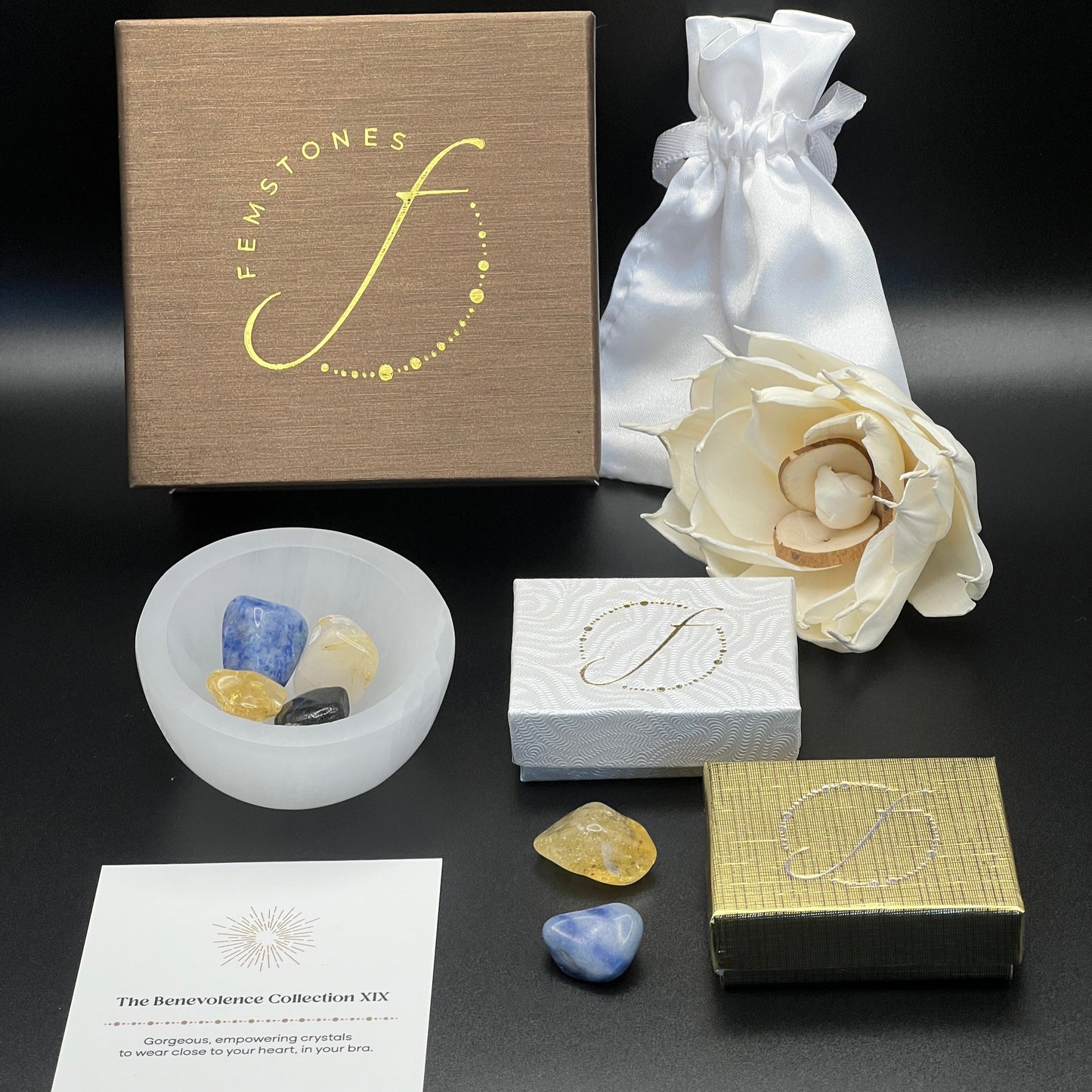 Confidence + success + clarity + protection from negativity | The Benevolence Collection XIX