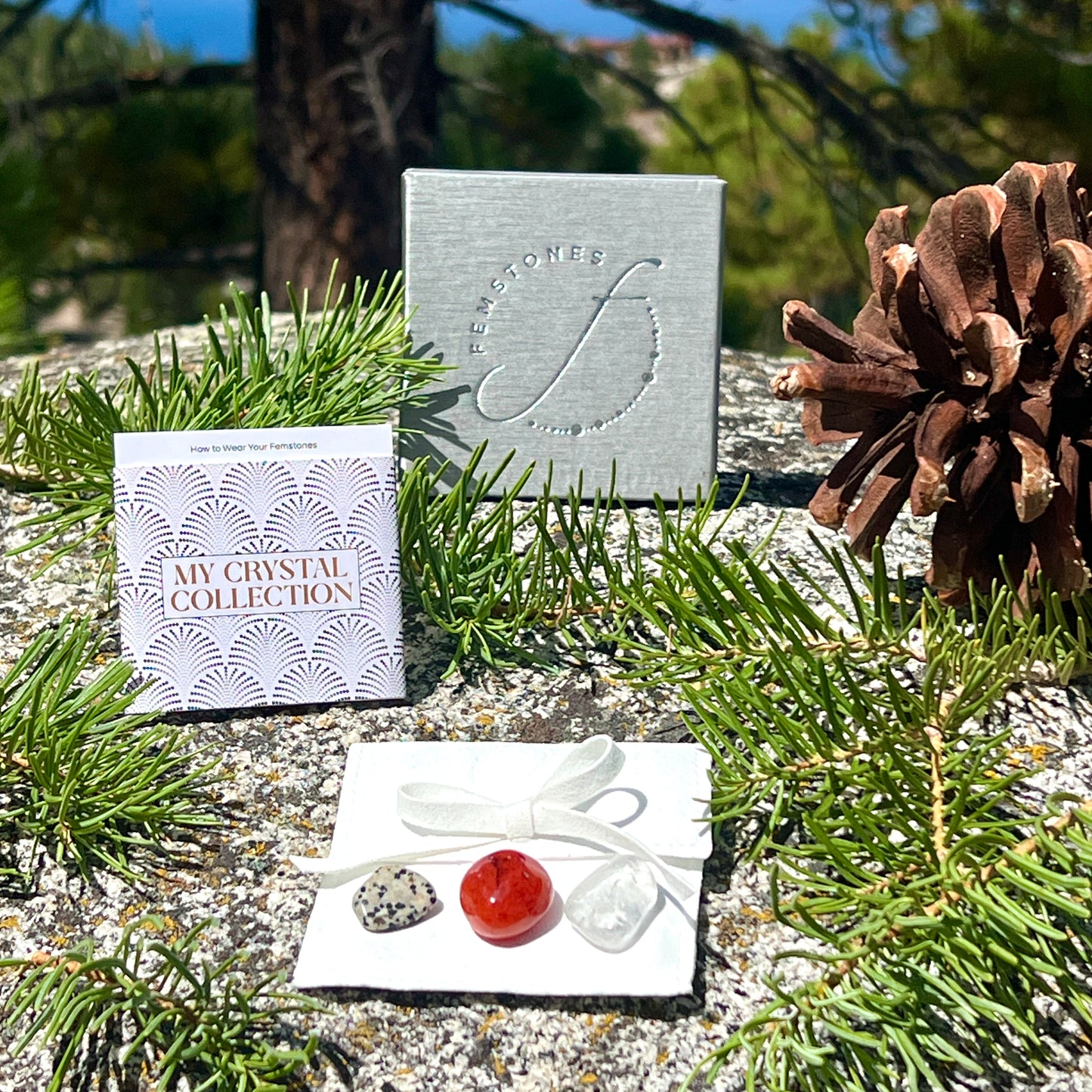 The Festive Glow Collection | Limited Edition Holiday Set