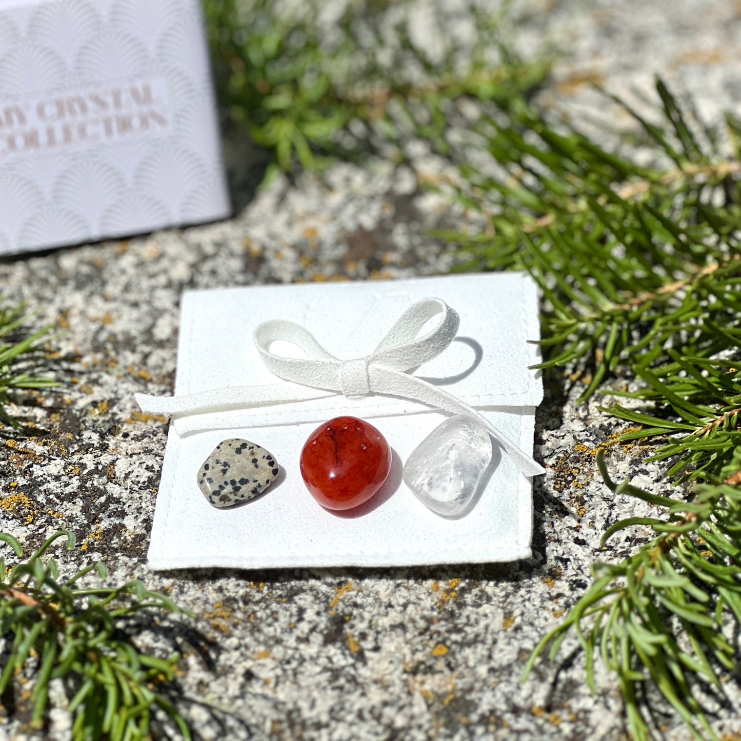 The Festive Glow Collection | Limited Edition Holiday Set