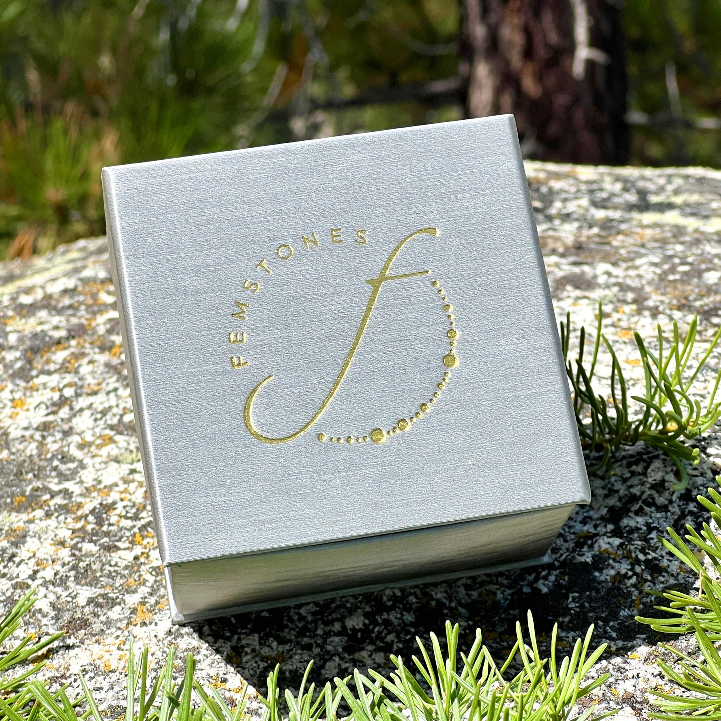 The Winterlight Collection | A Perfect Holiday Gift