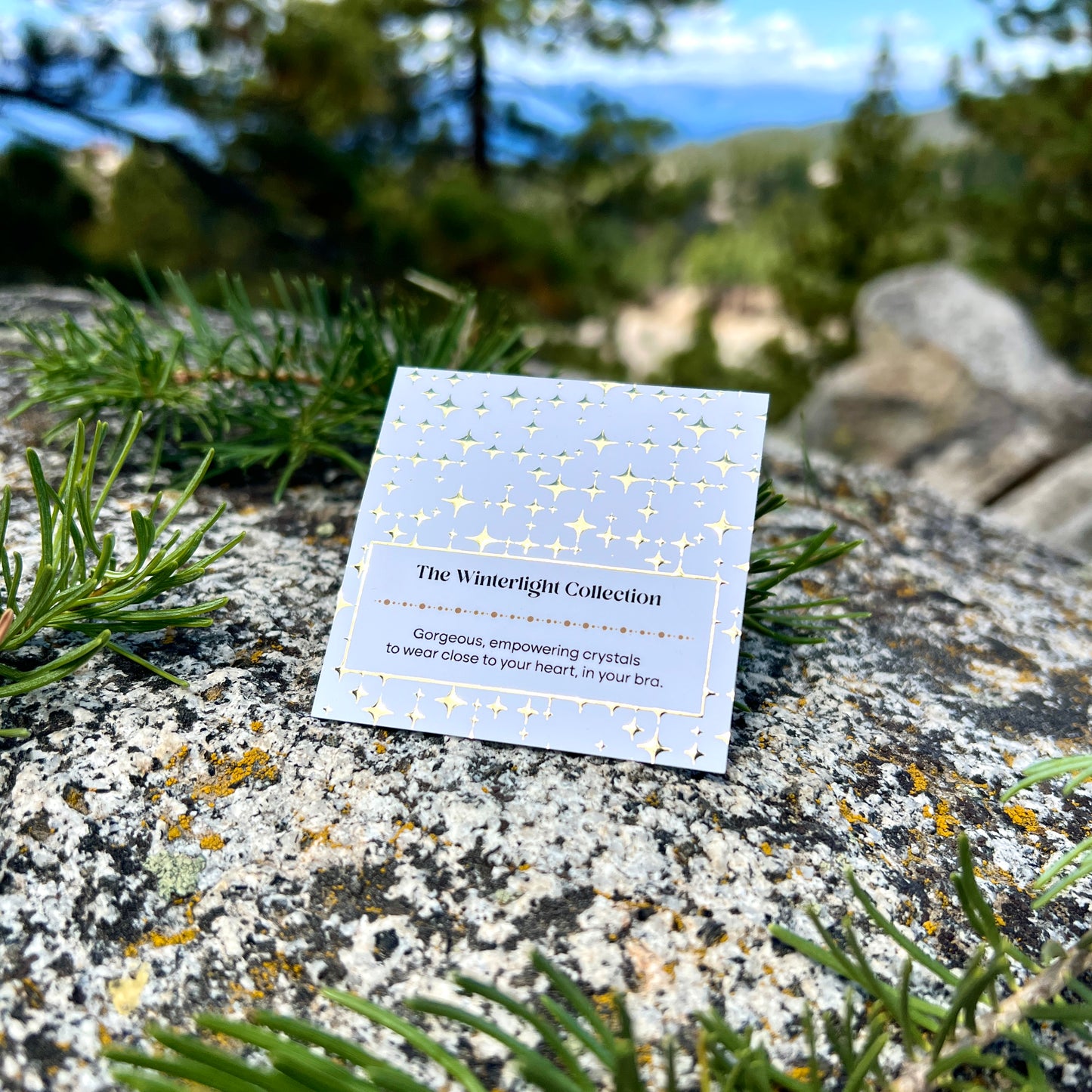 The Winterlight Collection | A Perfect Holiday Gift
