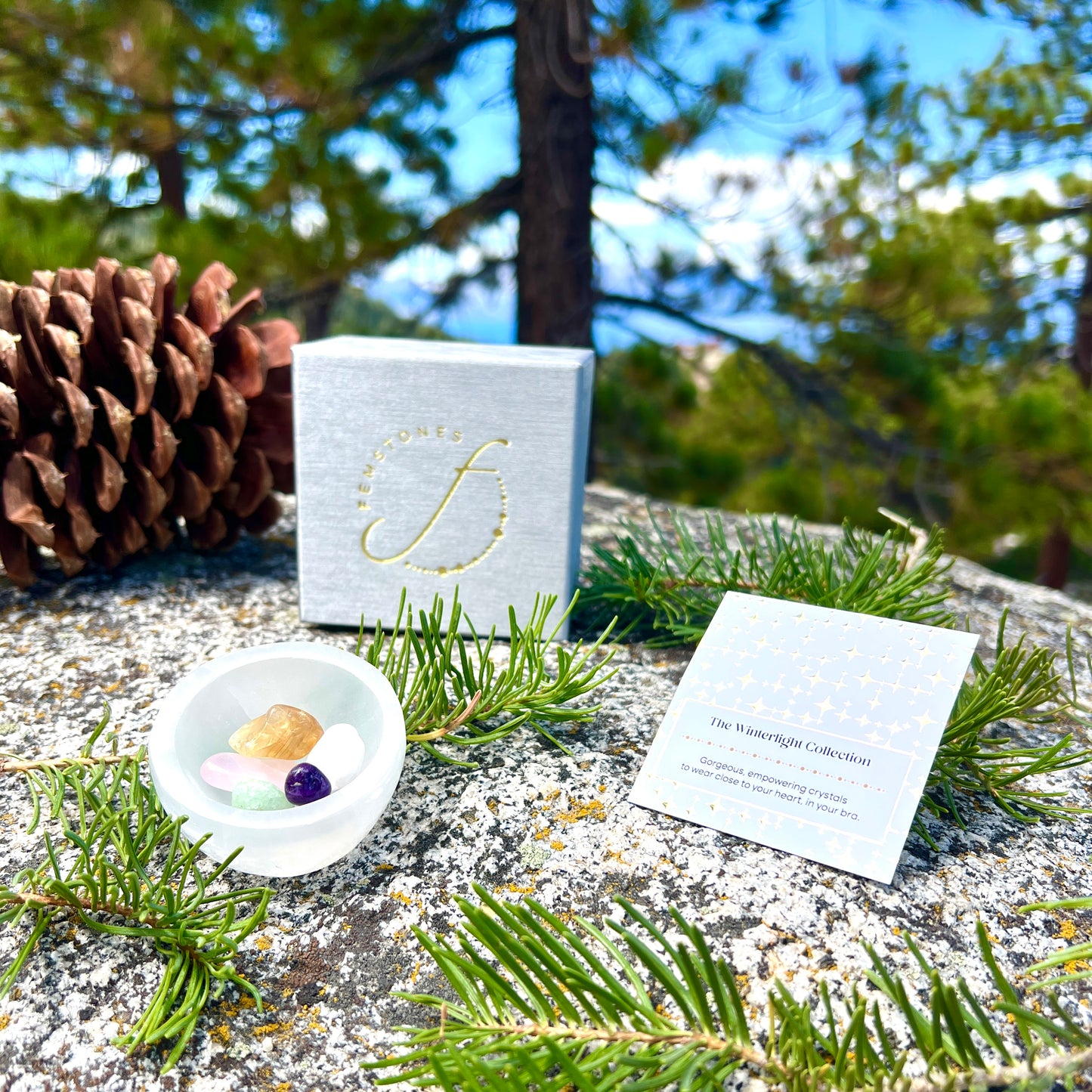 The Winterlight Collection | A Perfect Holiday Gift